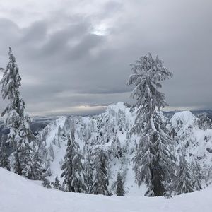 Meet your Posher, Hunter